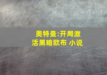 奥特曼:开局激活黑暗欧布 小说